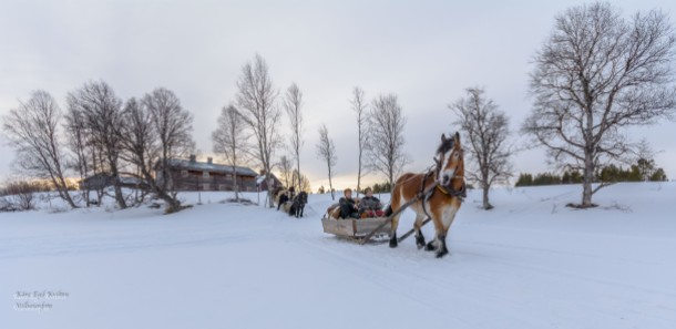 Så er følget i gang , en lang rekke med hest og slede ( 21 i tallet ) beveger seg utpå Flötningssjøen på tur til Drevsjø